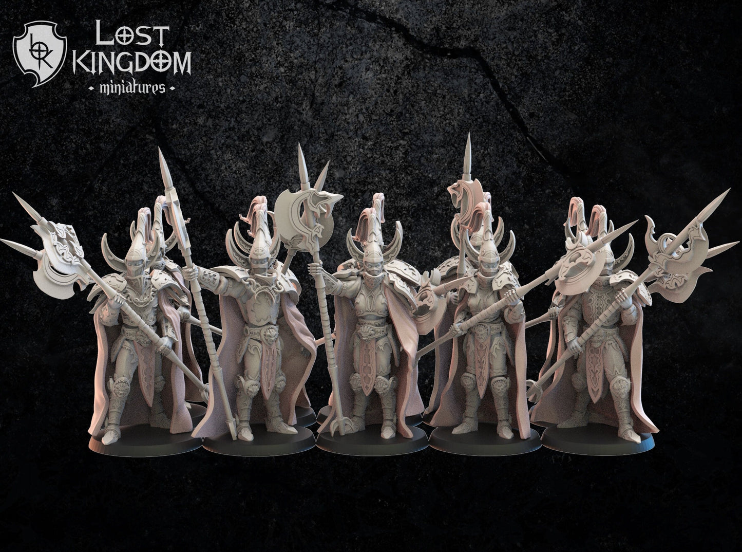 Dark Elf Hisu Guard x10 Resin Miniatures Set alternate view 3