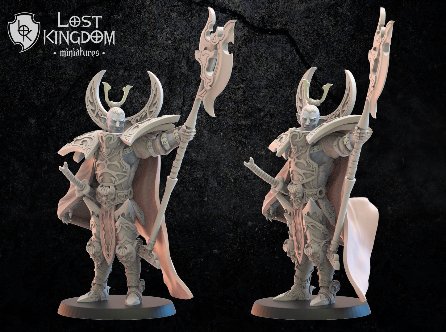 Dark Elf Hero Junichiro Resin Boss Miniature product image