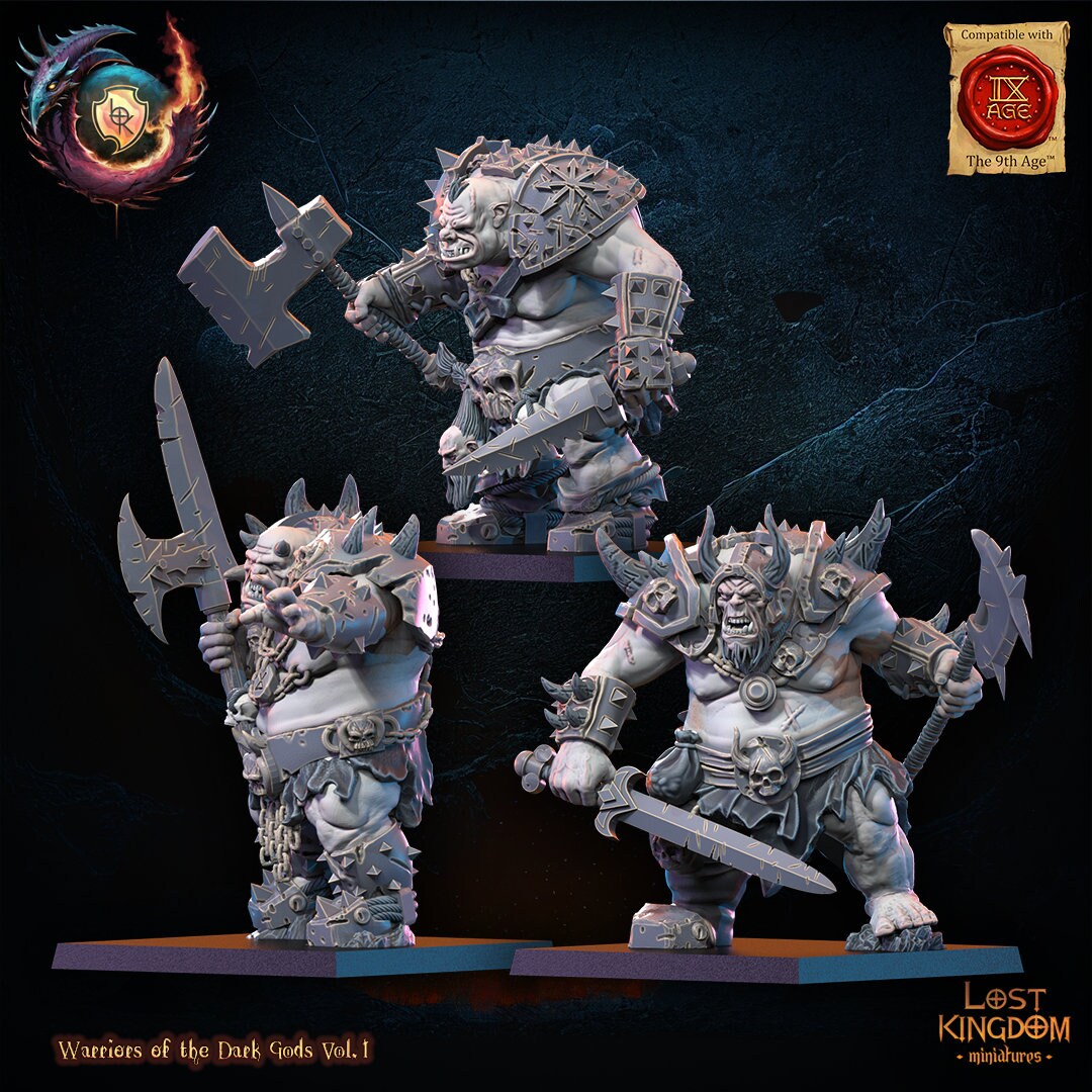 Forsworn Regiment Resin Miniatures Regiment alternate view 3