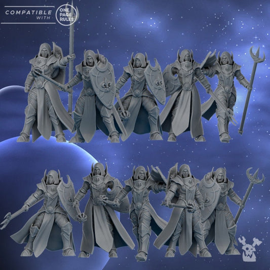 Silver Guards Squad x10 Resin Miniatures Set - DakkaDakka Miniatures product image