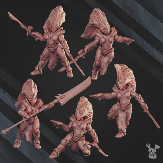 Comet Screamers Squad x5 Resin Miniatures Set - DakkaDakka product image