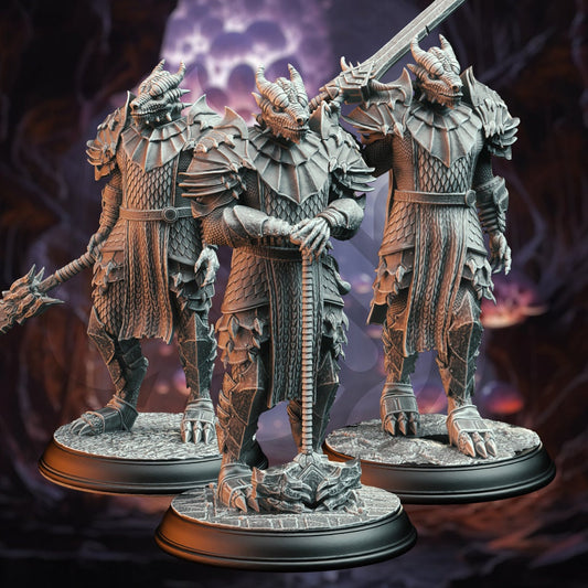 Dragonborn Warriors Resin Miniatures Set product image