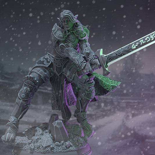 Elf Paladin Resin Miniature Figure product image