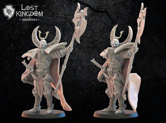 Dark Elf Hero Junichiro Resin Boss Miniature product image