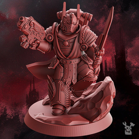 Crimson Wings Captain Resin Miniature Figure product image