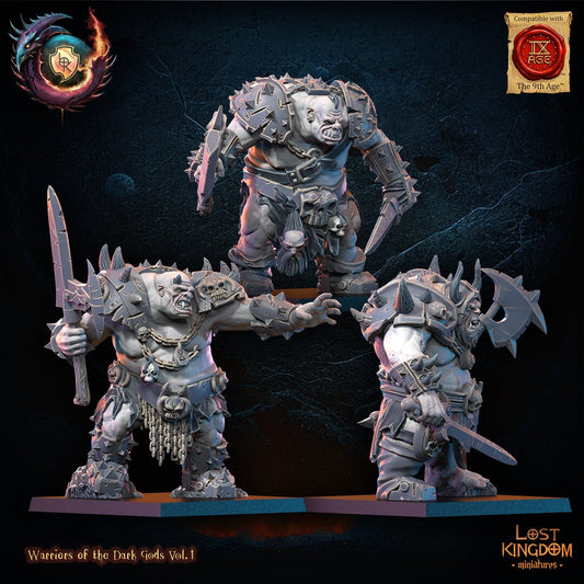 Forsworn Regiment Resin Miniatures Regiment alternate view 2