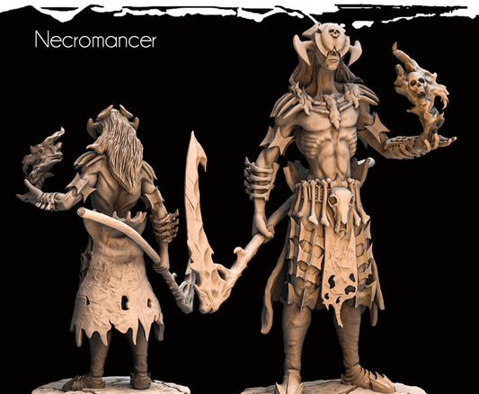Necromancer Resin Miniature Figure product image