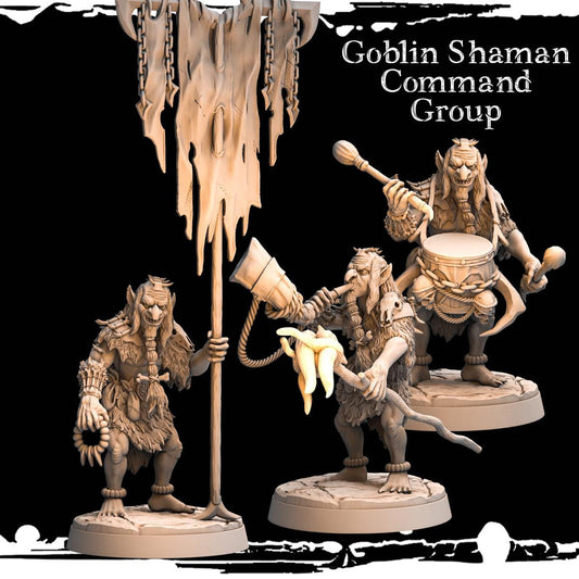 Goblin Warlock Command Group Resin Miniature Figure product image