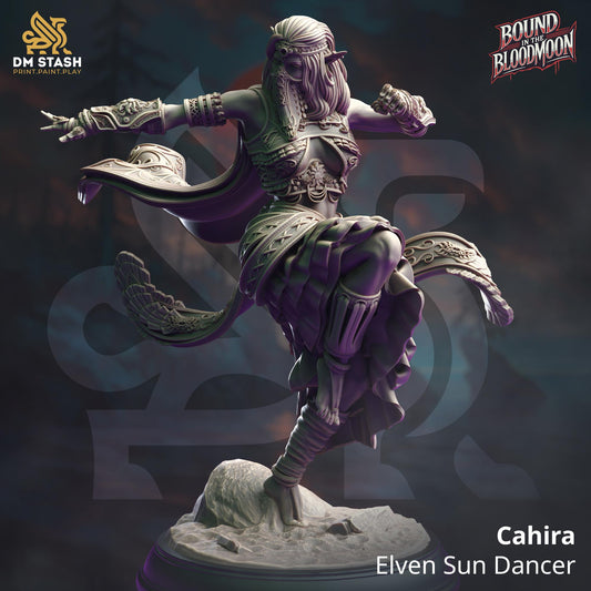 Cahira - Elven Sun Dancer Resin Miniature Figure product image