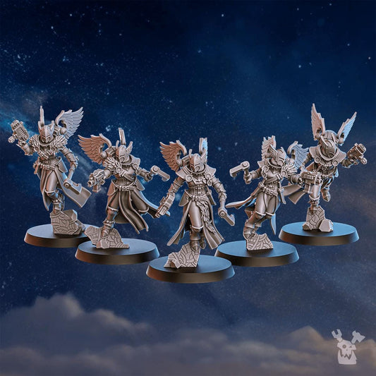 Stormpride Valkyrie Squad x5 Resin Miniatures Set product image